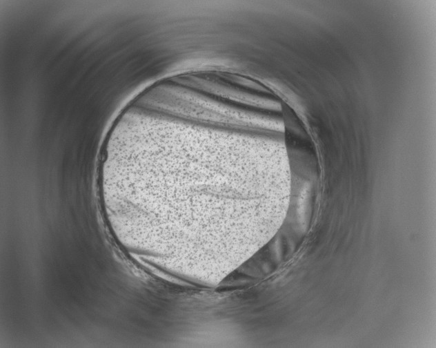 X0000055970912200509091441