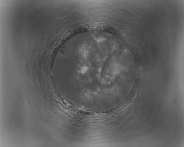 X0000055970913200509091440