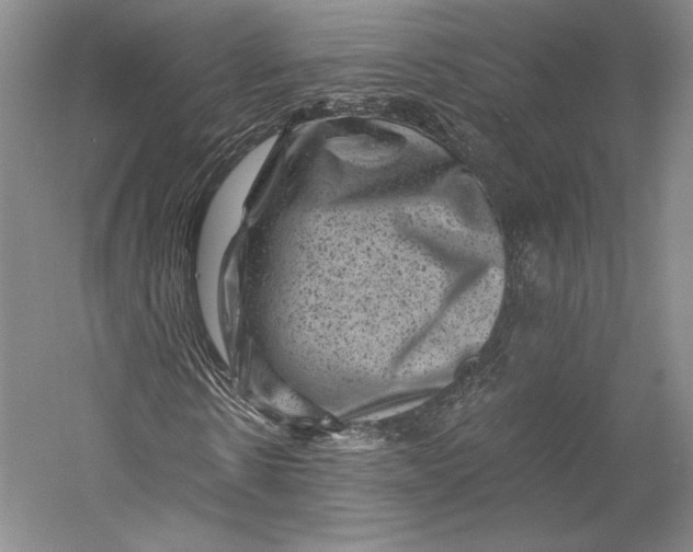 X0000055970914200509091440