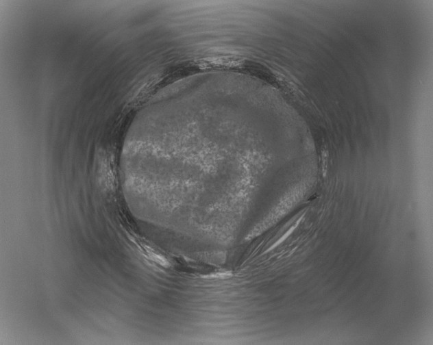 X0000055970915200509091440