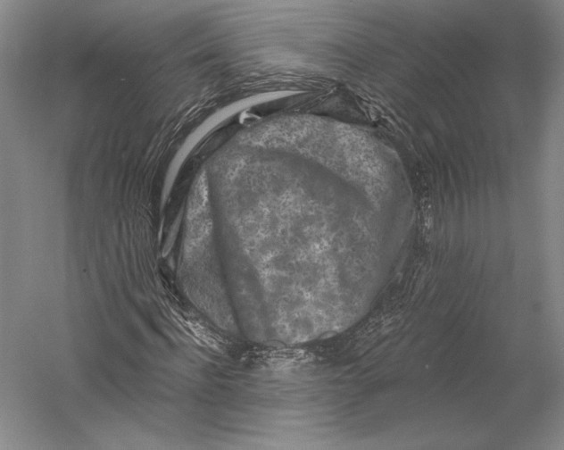 X0000055970916200509091440