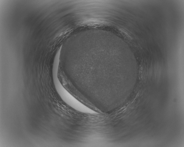 X0000055970917200509091440