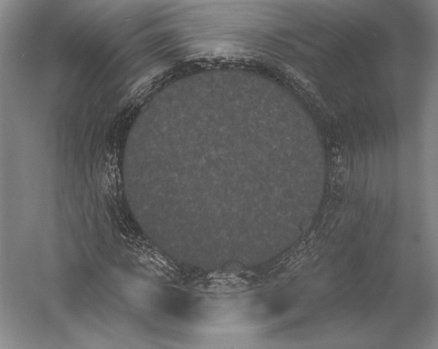 X0000055970918200509091440