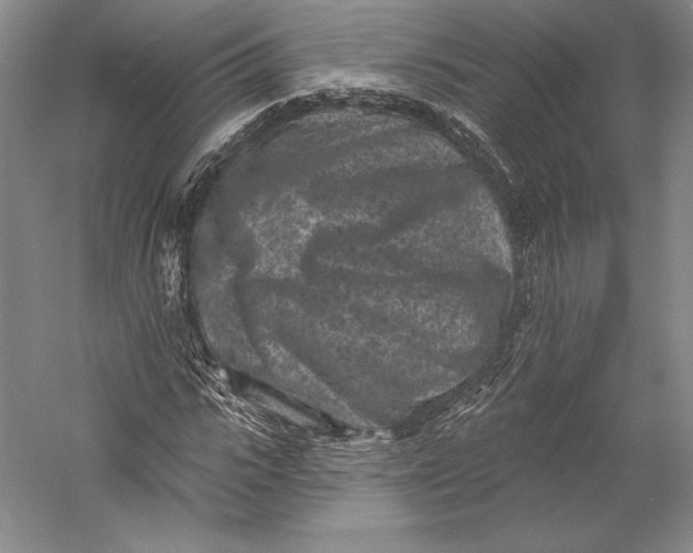 X0000055970919200509091440