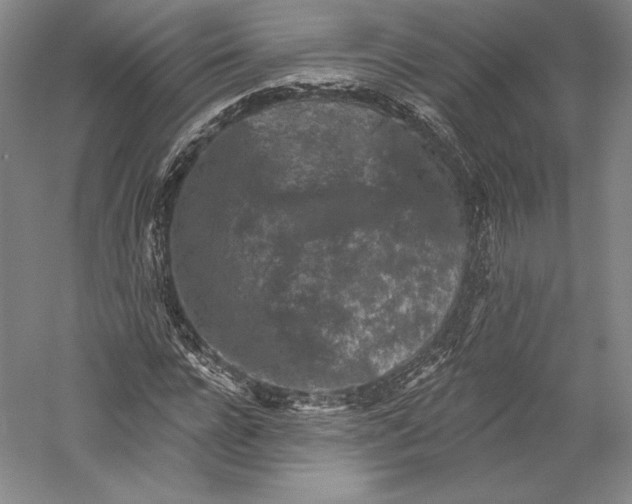 X0000055970920200509091440