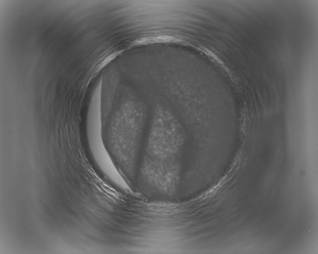 X0000055970921200509091440