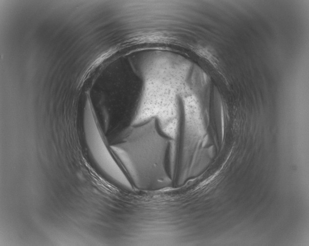 X0000055970922200509091440