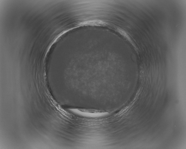 X0000055970923200509091440