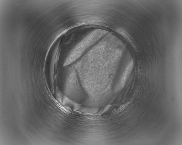 X0000055970924200509091440