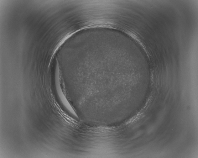 X0000055970925200509091440