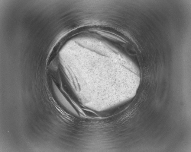 X0000055970927200509091440