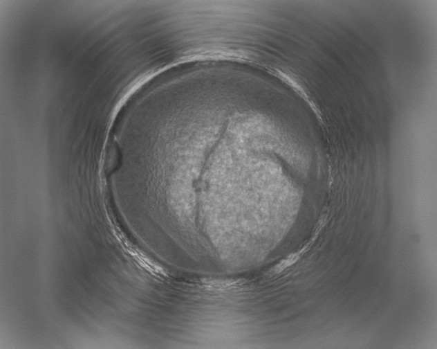 X0000055970928200509091440