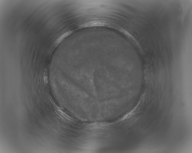 X0000055970929200509091440