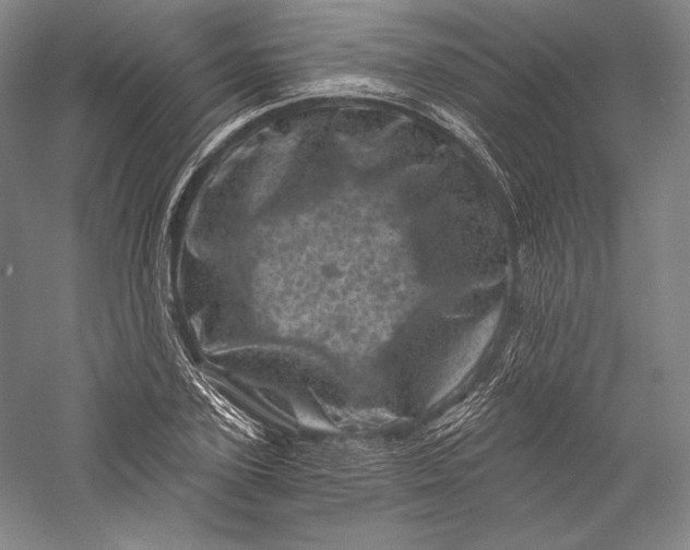 X0000055970931200509091440