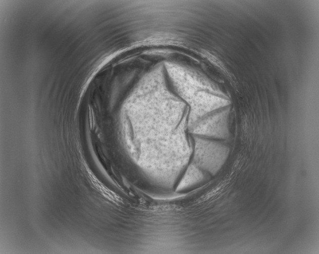 X0000055970934200509091440