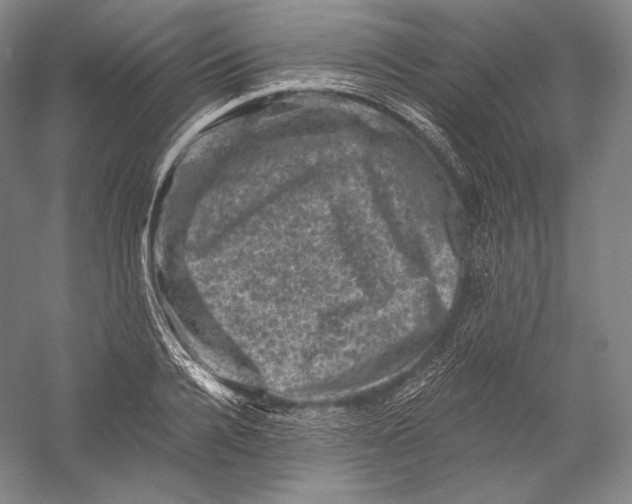 X0000055970936200509091440