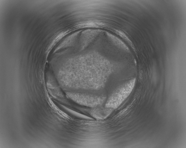 X0000055970938200509091440