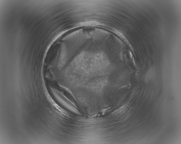 X0000055970939200509091440