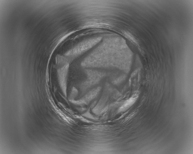 X0000055970940200509091440