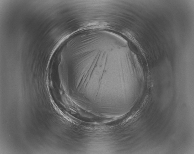 X0000055970941200509091440