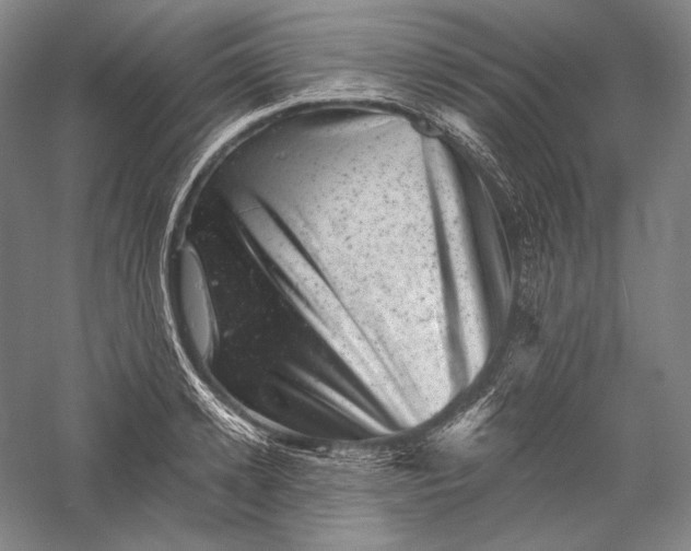 X0000055970942200509091440