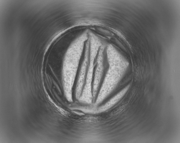 X0000055970943200509091440