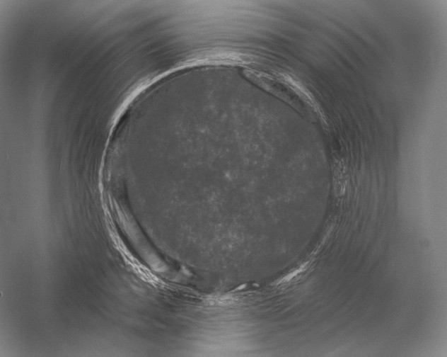 X0000055970944200509091440