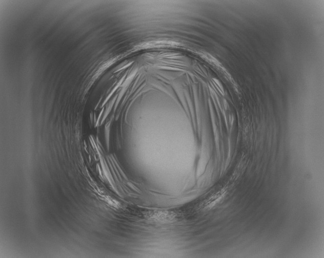 X0000055970945200509091440