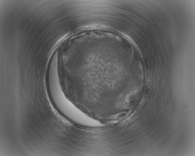 X0000055970946200509091440