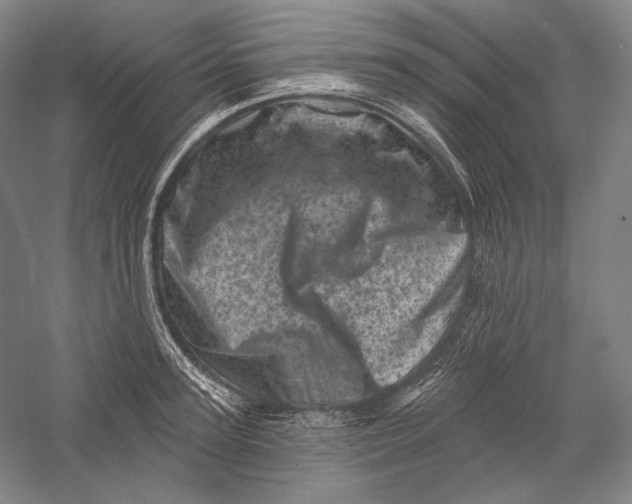 X0000055970947200509091440