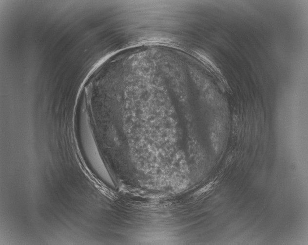 X0000055970948200509091440