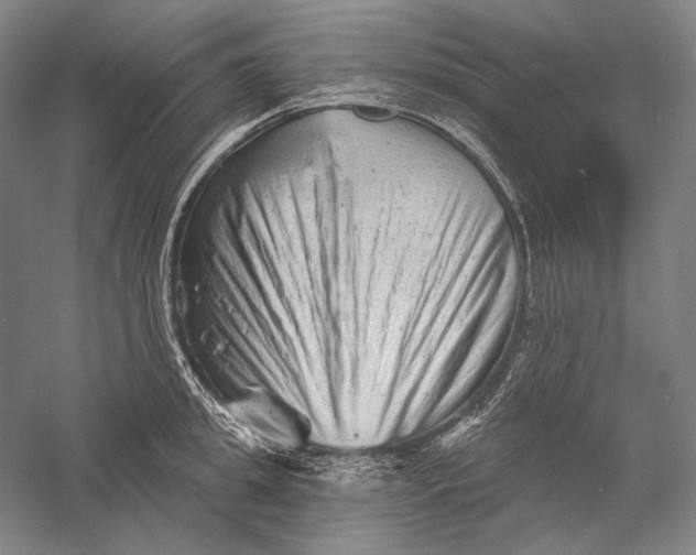 X0000055970949200509091440