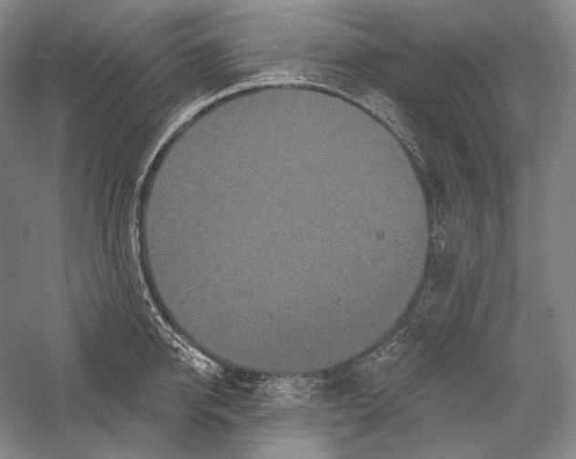 X0000055970950200509091440