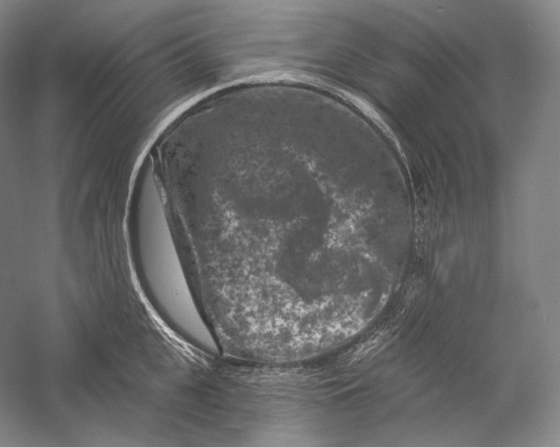 X0000055970951200509091440