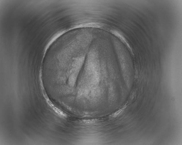 X0000055970952200509091440