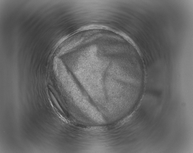 X0000055970953200509091440