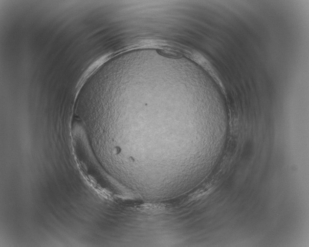 X0000055970954200509091440