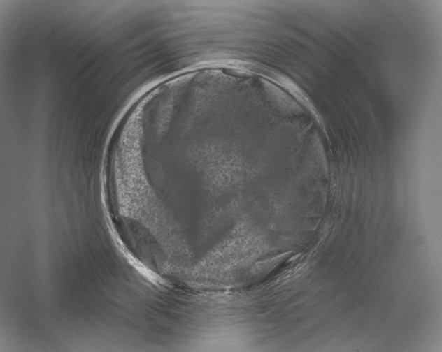 X0000055970955200509091440