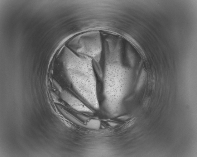 X0000055970956200509091440