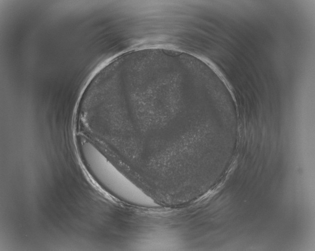 X0000055970957200509091440