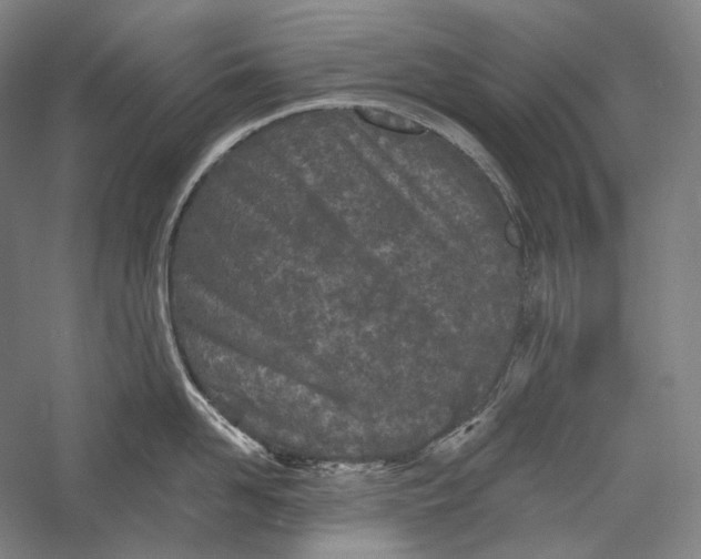 X0000055970958200509091440