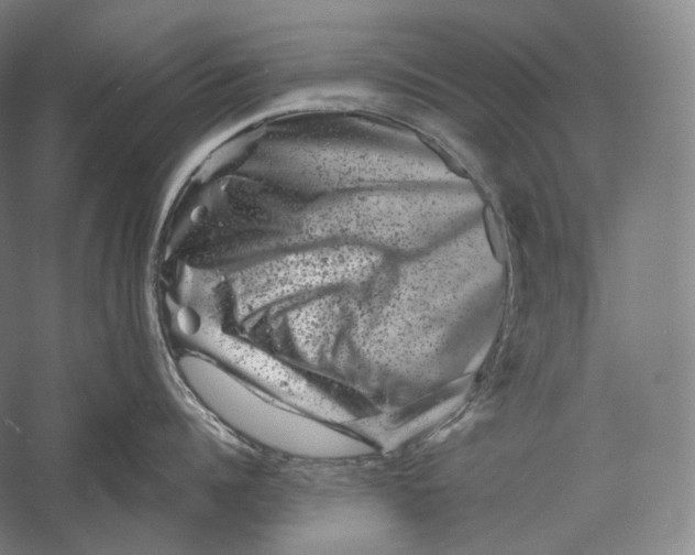 X0000055970960200509091441