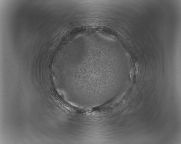 X0000055970961200509091440