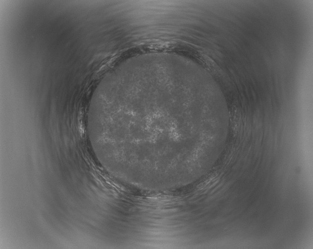 X0000055970962200509091440