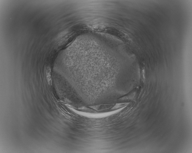 X0000055970963200509091440