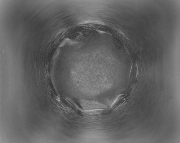 X0000055970965200509091440