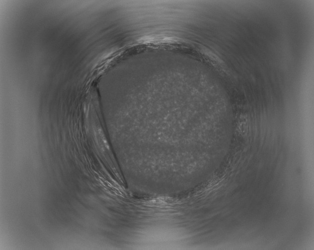 X0000055970966200509091440