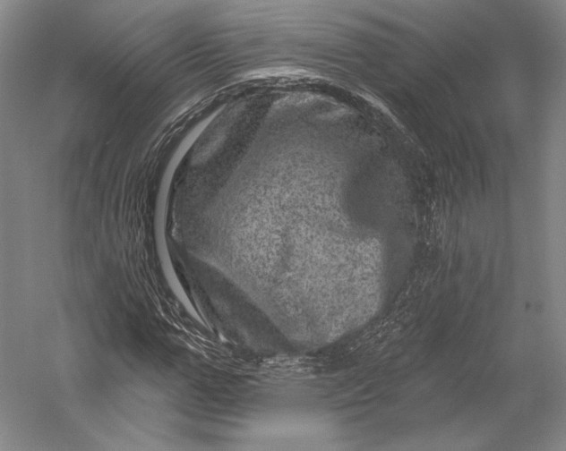 X0000055970967200509091440