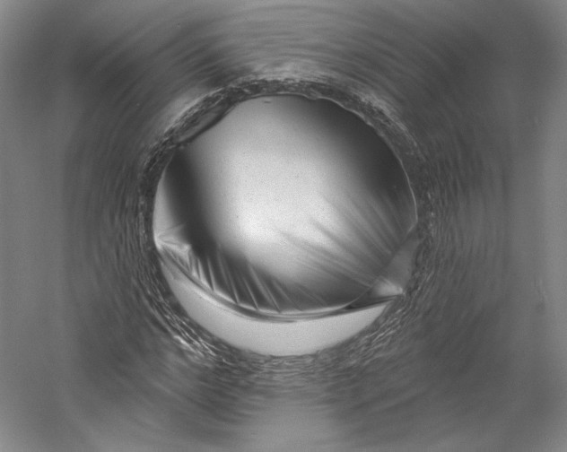 X0000055970968200509091440