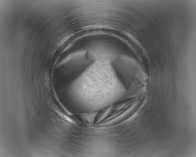 X0000055970969200509091440